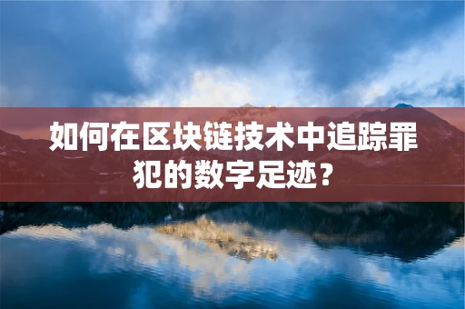 如何在区块链技术中追踪罪犯的数字足迹？