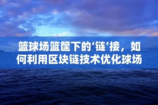 篮球场篮筐下的‘链’接，如何利用区块链技术优化球场管理？