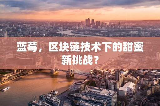 蓝莓，区块链技术下的甜蜜新挑战？