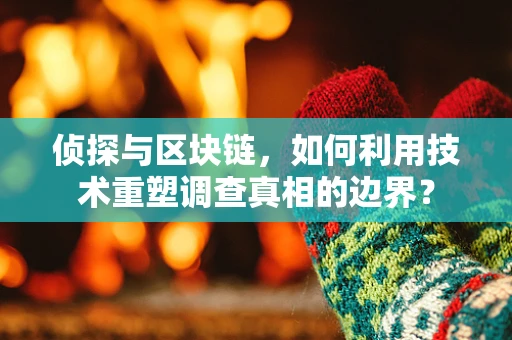 侦探与区块链，如何利用技术重塑调查真相的边界？