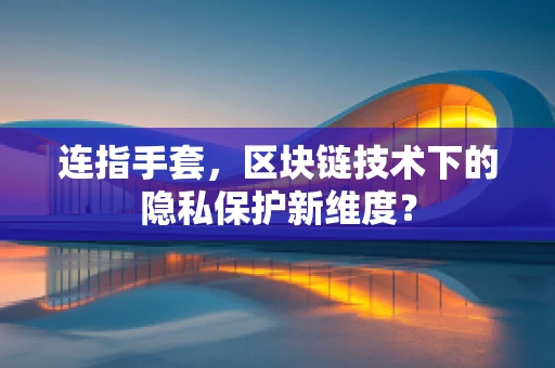 连指手套，区块链技术下的隐私保护新维度？