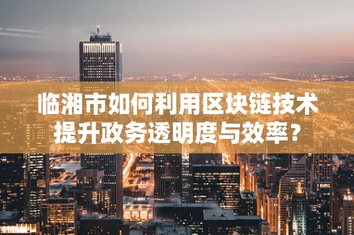 临湘市如何利用区块链技术提升政务透明度与效率？