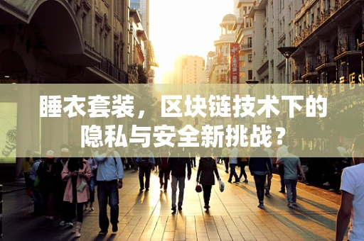 睡衣套装，区块链技术下的隐私与安全新挑战？