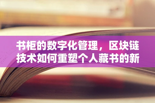 书柜的数字化管理，区块链技术如何重塑个人藏书的新纪元？