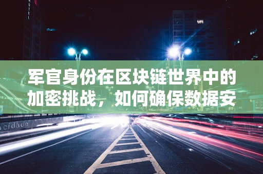 军官身份在区块链世界中的加密挑战，如何确保数据安全与透明？