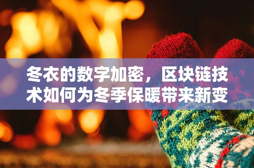 冬衣的数字加密，区块链技术如何为冬季保暖带来新变革？