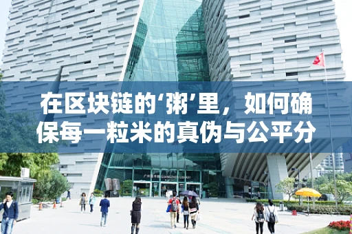 在区块链的‘粥’里，如何确保每一粒米的真伪与公平分配？