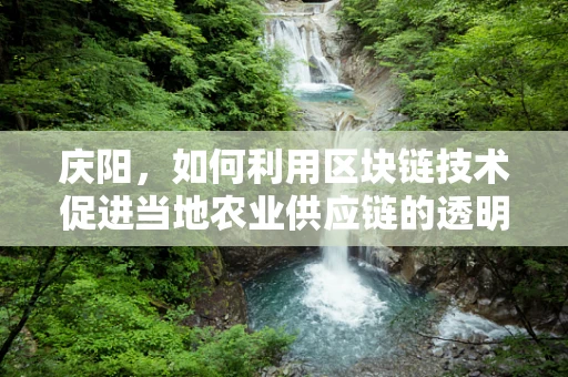 庆阳，如何利用区块链技术促进当地农业供应链的透明与效率？