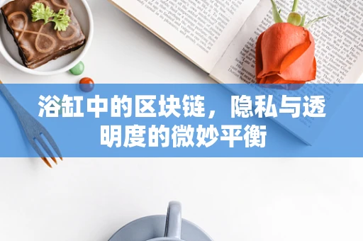 浴缸中的区块链，隐私与透明度的微妙平衡