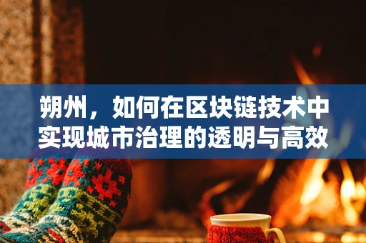 朔州，如何在区块链技术中实现城市治理的透明与高效？