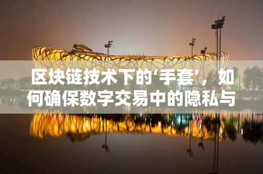 区块链技术下的‘手套’，如何确保数字交易中的隐私与安全？
