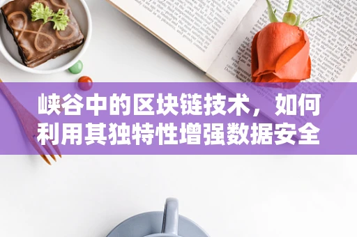 峡谷中的区块链技术，如何利用其独特性增强数据安全与隐私？