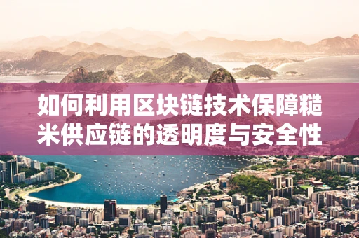 如何利用区块链技术保障糙米供应链的透明度与安全性？