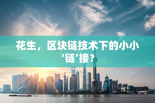 花生，区块链技术下的小小‘链’接？