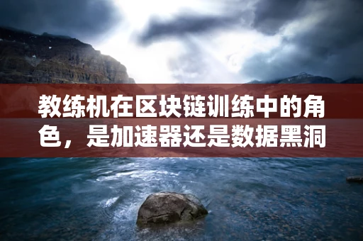 教练机在区块链训练中的角色，是加速器还是数据黑洞？