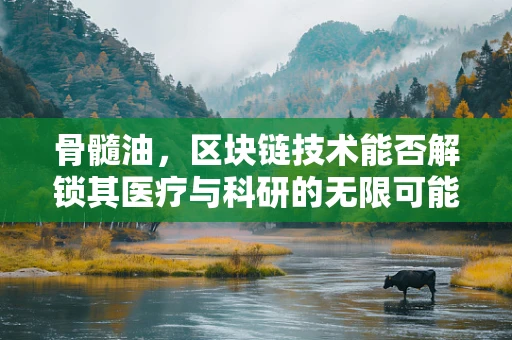 骨髓油，区块链技术能否解锁其医疗与科研的无限可能？