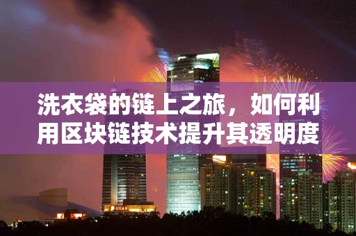洗衣袋的链上之旅，如何利用区块链技术提升其透明度与信任度？