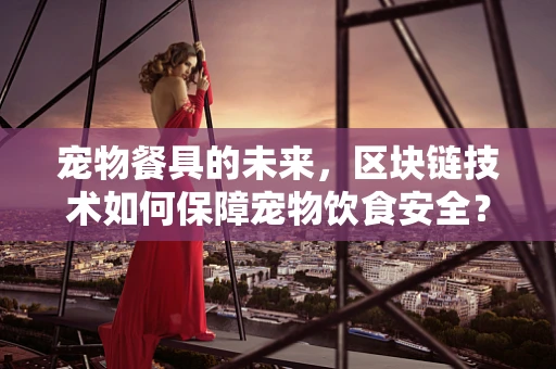 宠物餐具的未来，区块链技术如何保障宠物饮食安全？