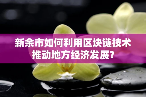 新余市如何利用区块链技术推动地方经济发展？