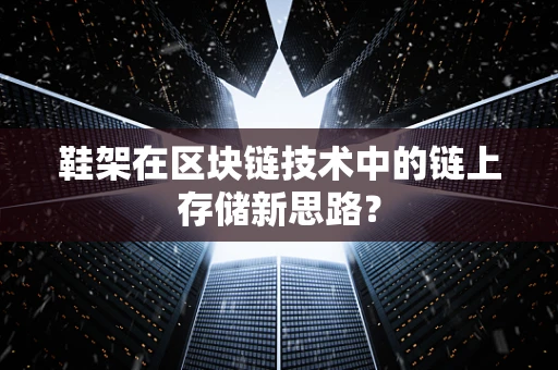 鞋架在区块链技术中的链上存储新思路？