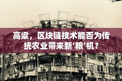 高粱，区块链技术能否为传统农业带来新‘粮’机？