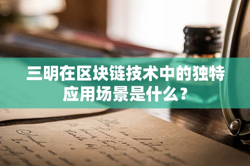 三明在区块链技术中的独特应用场景是什么？