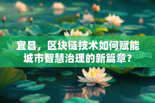 宜昌，区块链技术如何赋能城市智慧治理的新篇章？