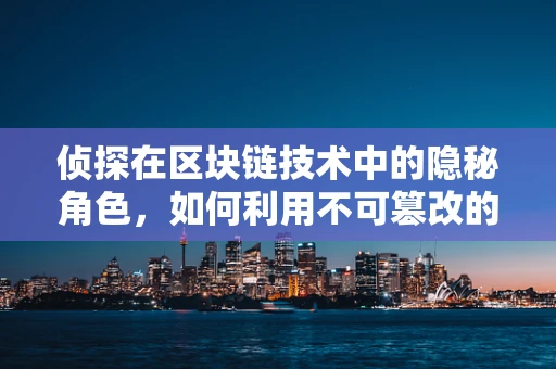 侦探在区块链技术中的隐秘角色，如何利用不可篡改的记录追踪真相？