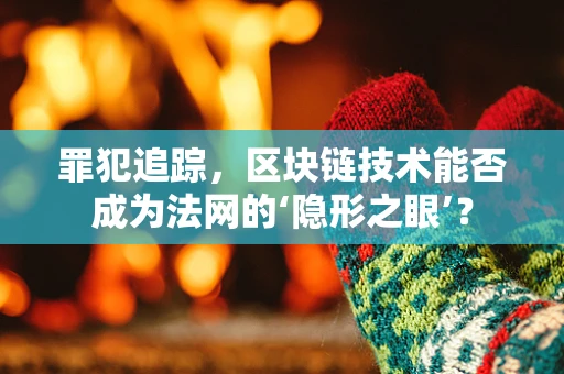 罪犯追踪，区块链技术能否成为法网的‘隐形之眼’？