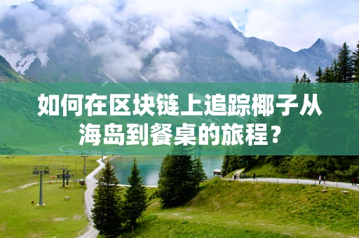 如何在区块链上追踪椰子从海岛到餐桌的旅程？