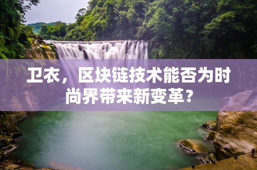 卫衣，区块链技术能否为时尚界带来新变革？
