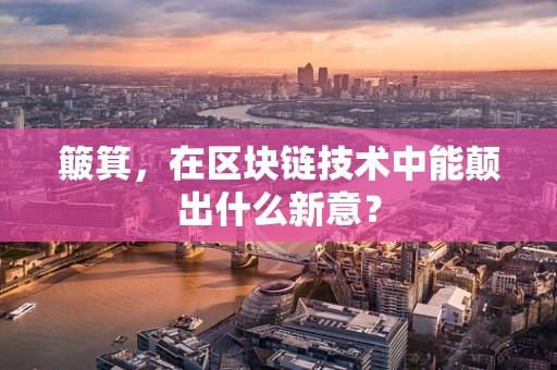 簸箕，在区块链技术中能颠出什么新意？