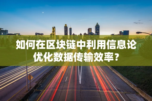 如何在区块链中利用信息论优化数据传输效率？