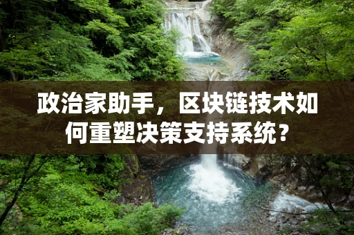 政治家助手，区块链技术如何重塑决策支持系统？