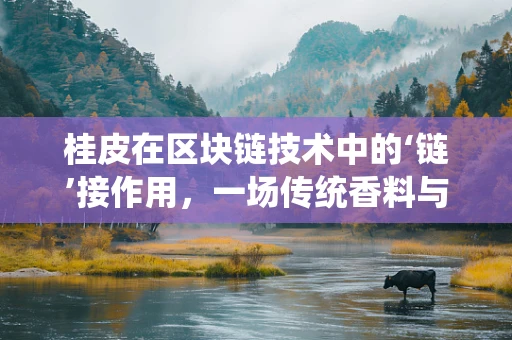 桂皮在区块链技术中的‘链’接作用，一场传统香料与未来科技的跨界对话