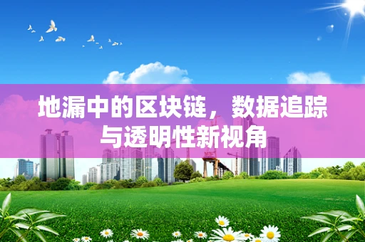 地漏中的区块链，数据追踪与透明性新视角