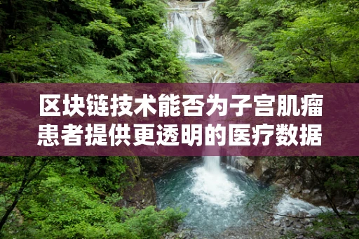 区块链技术能否为子宫肌瘤患者提供更透明的医疗数据管理？