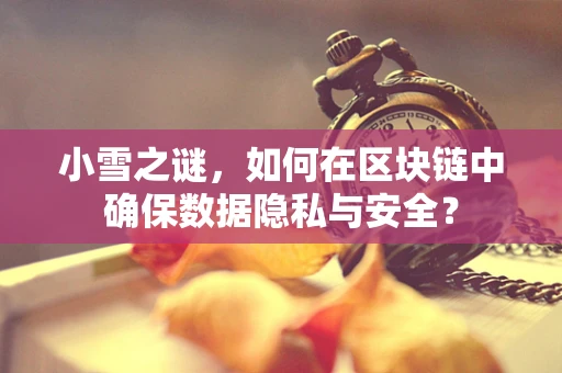 小雪之谜，如何在区块链中确保数据隐私与安全？
