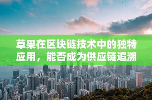 草果在区块链技术中的独特应用，能否成为供应链追溯的新星？