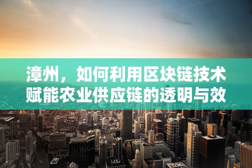 漳州，如何利用区块链技术赋能农业供应链的透明与效率？