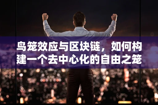 鸟笼效应与区块链，如何构建一个去中心化的自由之笼？