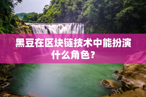 黑豆在区块链技术中能扮演什么角色？
