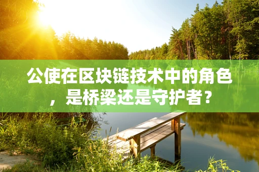 公使在区块链技术中的角色，是桥梁还是守护者？