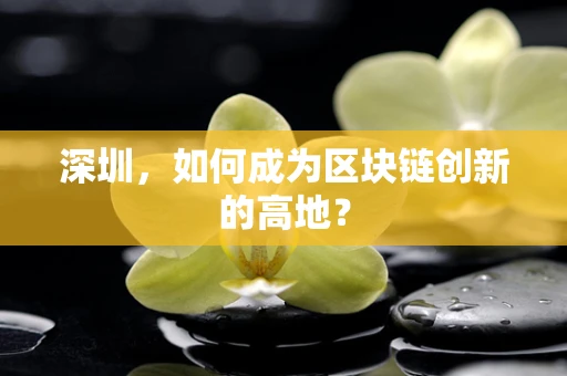 深圳，如何成为区块链创新的高地？