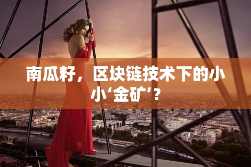 南瓜籽，区块链技术下的小小‘金矿’？