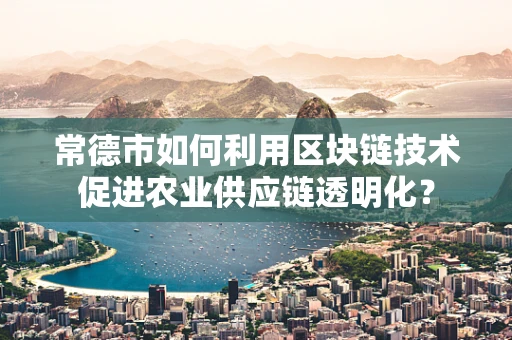 常德市如何利用区块链技术促进农业供应链透明化？