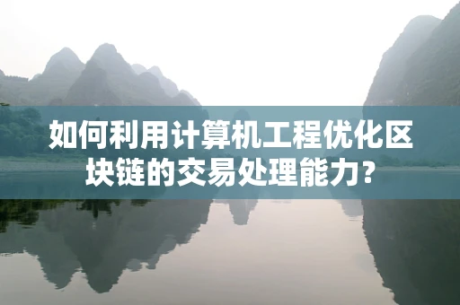 如何利用计算机工程优化区块链的交易处理能力？