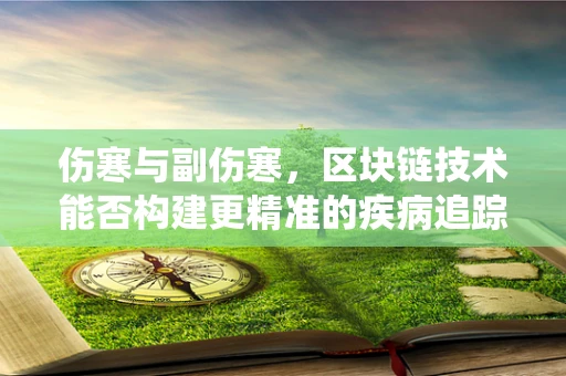伤寒与副伤寒，区块链技术能否构建更精准的疾病追踪系统？
