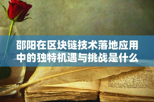 邵阳在区块链技术落地应用中的独特机遇与挑战是什么？