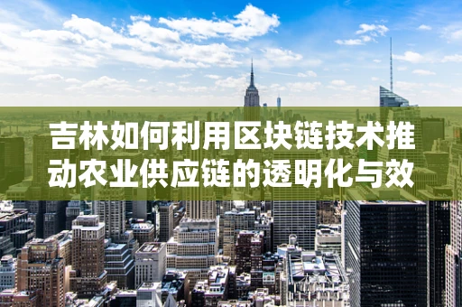 吉林如何利用区块链技术推动农业供应链的透明化与效率？